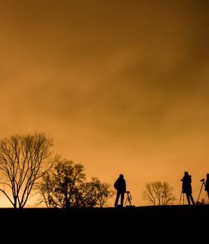 Nacht van de Nacht: wandelen en verhalen 