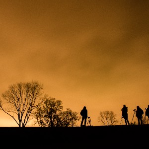 Nacht van de Nacht: wandelen en verhalen 